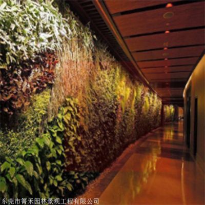 箐禾园林 打造会呼吸的真植物墙与绿植装饰墙——厂家直销解锁鲜活居住美学