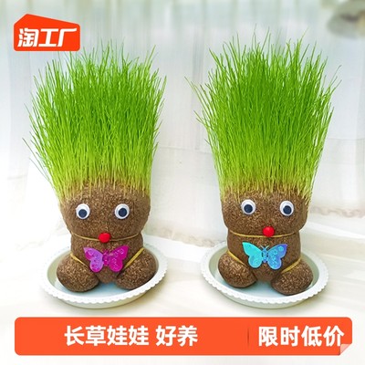 绿色浪潮 当网购爱上未来的窗台