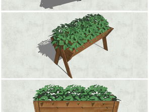 精品陶罐花卉绿植景观小品花钵su模型设计图下载 图片35.93mb 植物景观库 su模型