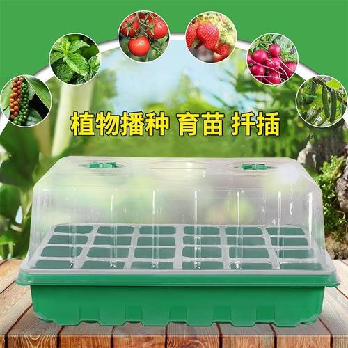 多肉绿植套装厂家,品牌,图片,热帖