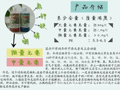立体农业厂家直销-水培浓缩营养液-水培盆栽绿植绿萝栽培-通用型营养液