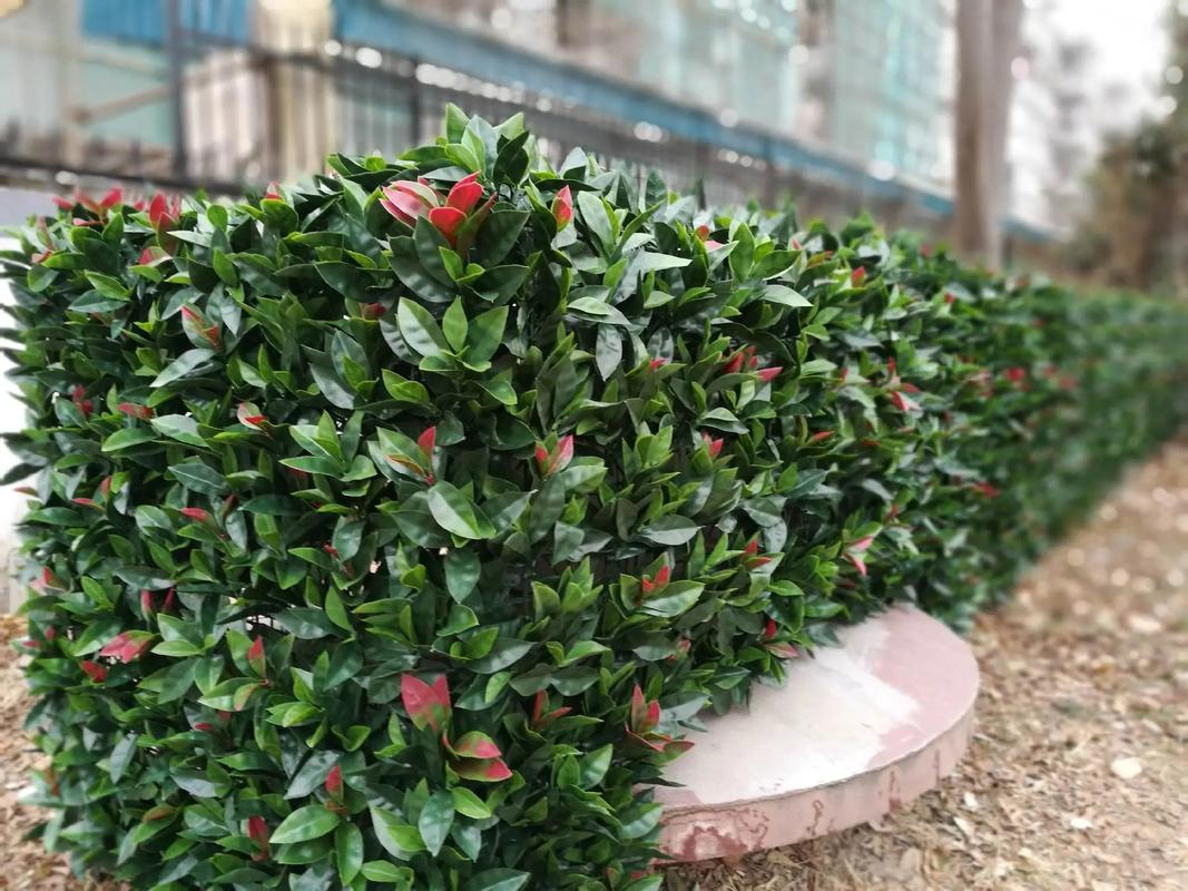 防紫外线仿真绿植产品.室外质保五年